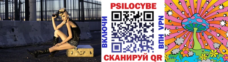 где найти наркотики Краснокаменск Галлюциногенные грибы Psilocybine cubensis
